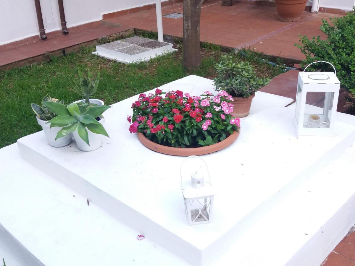 Casa Agrumeto - Locazione Turistica Mondello Esterno foto