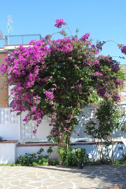 Casa Agrumeto - Locazione Turistica Mondello Camera foto