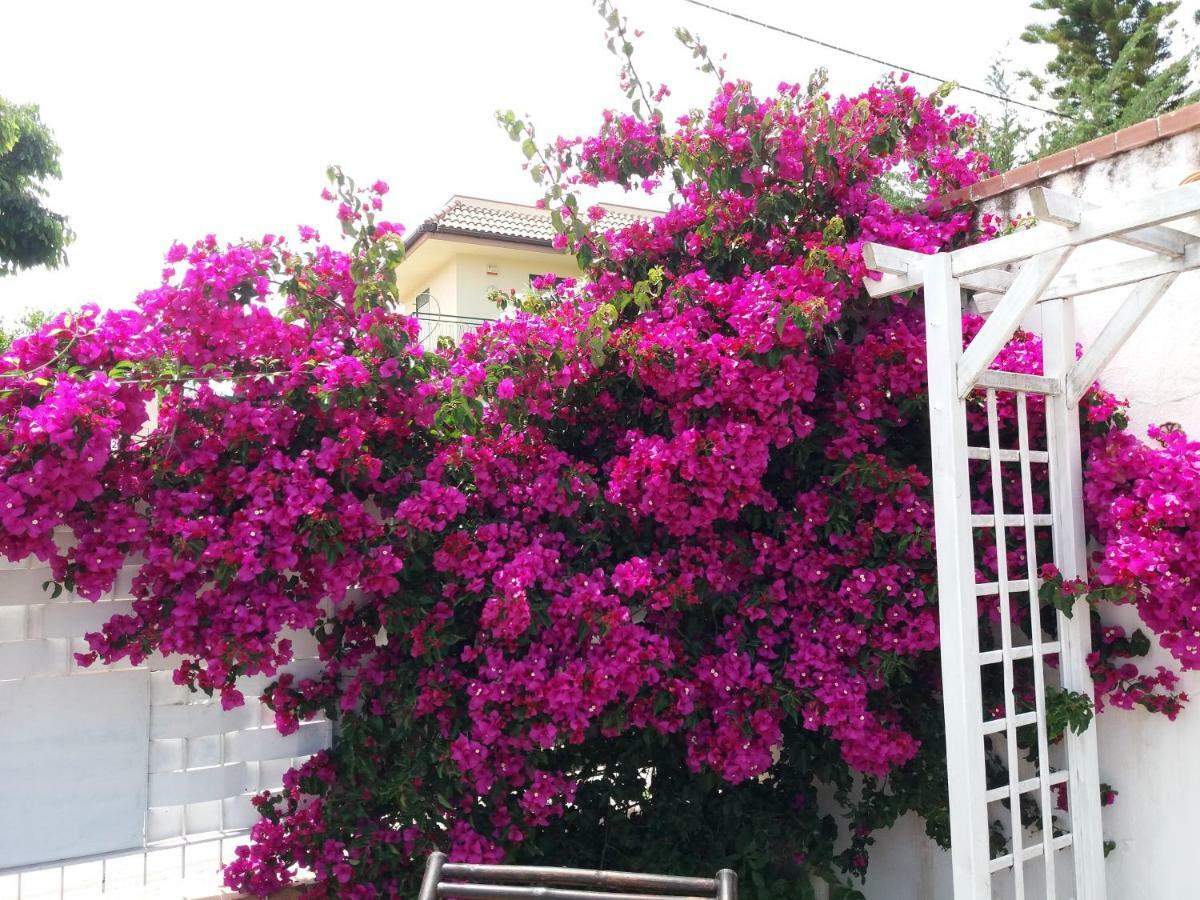 Casa Agrumeto - Locazione Turistica Mondello Esterno foto