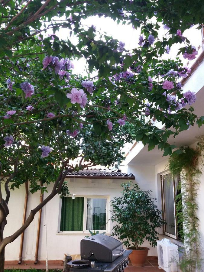 Casa Agrumeto - Locazione Turistica Mondello Esterno foto